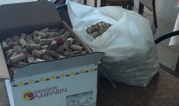 2AB29D90-65CB-4FDE-AF2A-771338684652